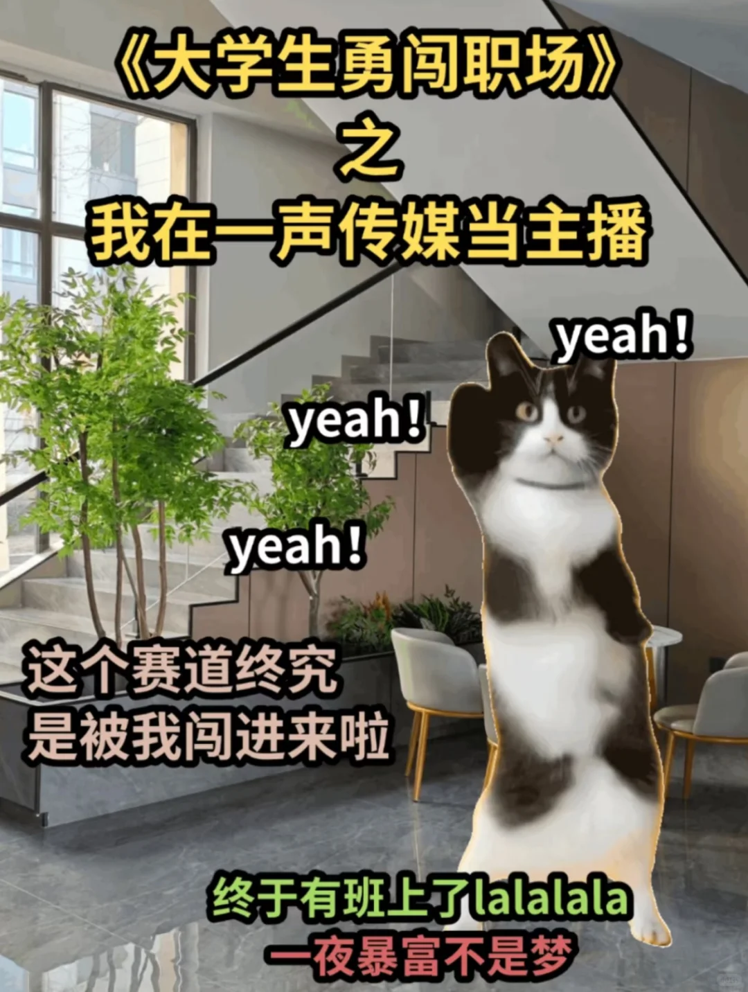 《大学生勇闯职场之我在传媒公司当主播》