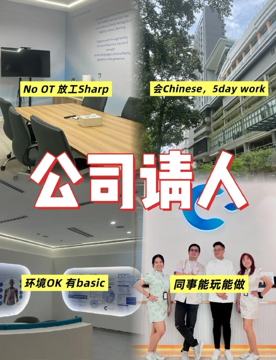 我找到了别人家的公司啦!