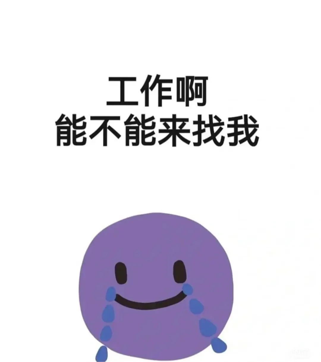 这是一条正经的求职帖子🆘