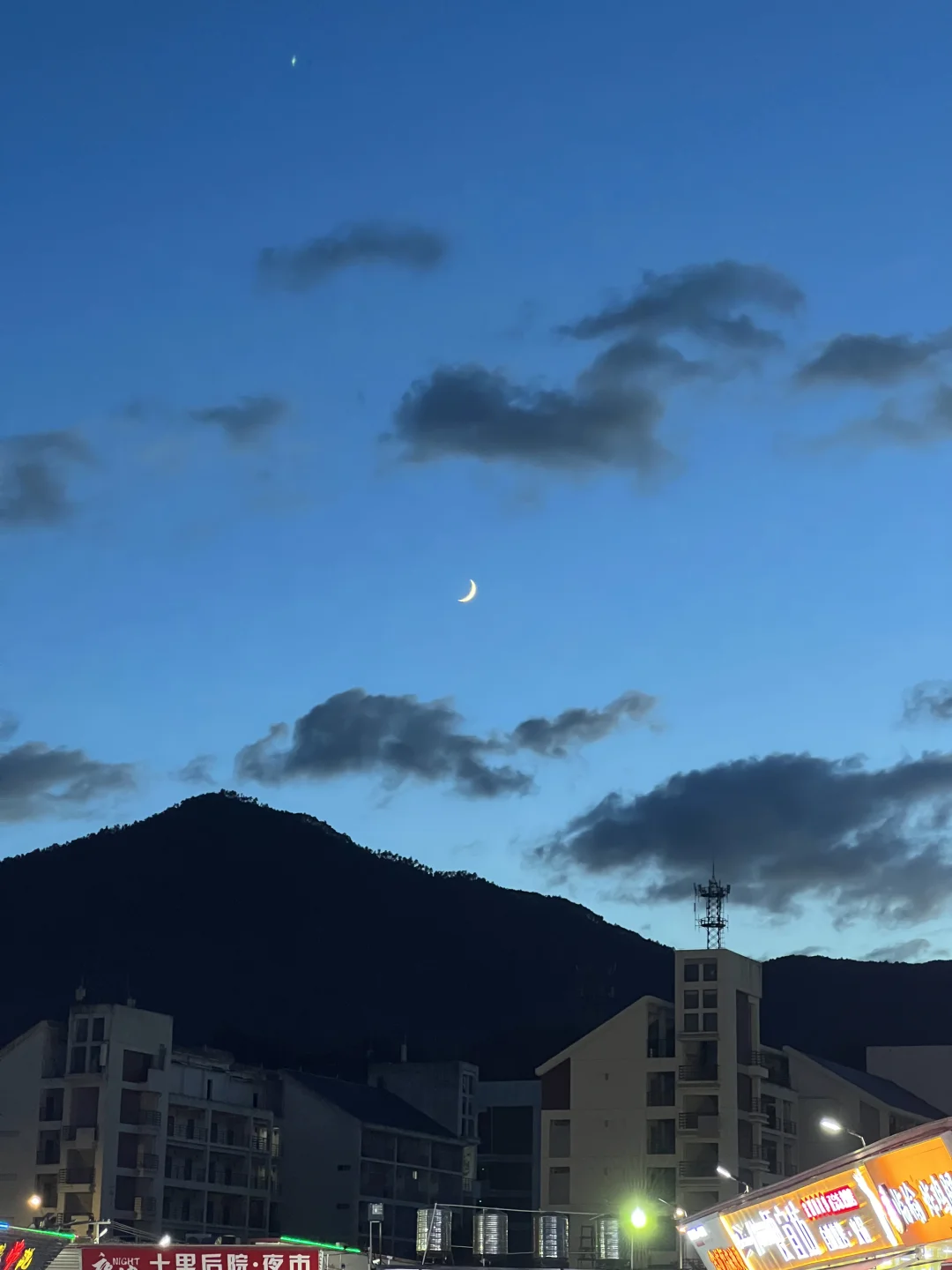 招聘树洞