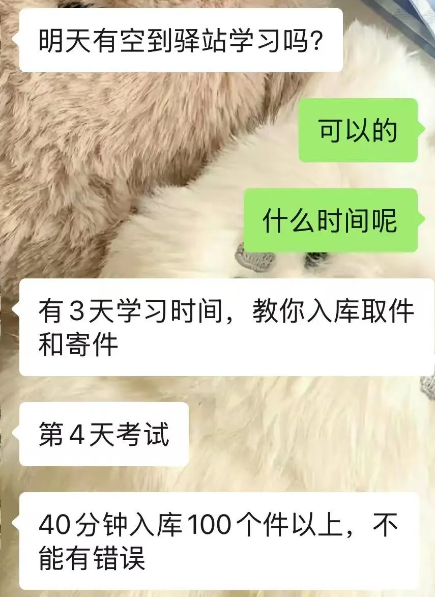 邯郸找工作已经这么离谱了吗