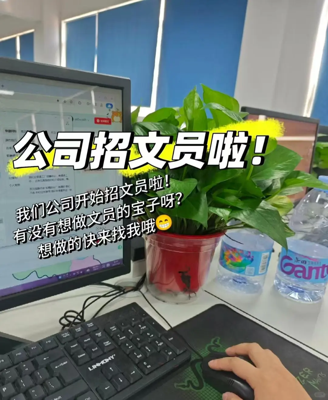 高薪招聘HR，你敢来挑战吗？