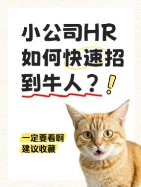 小公司HR如何快速招到牛人？