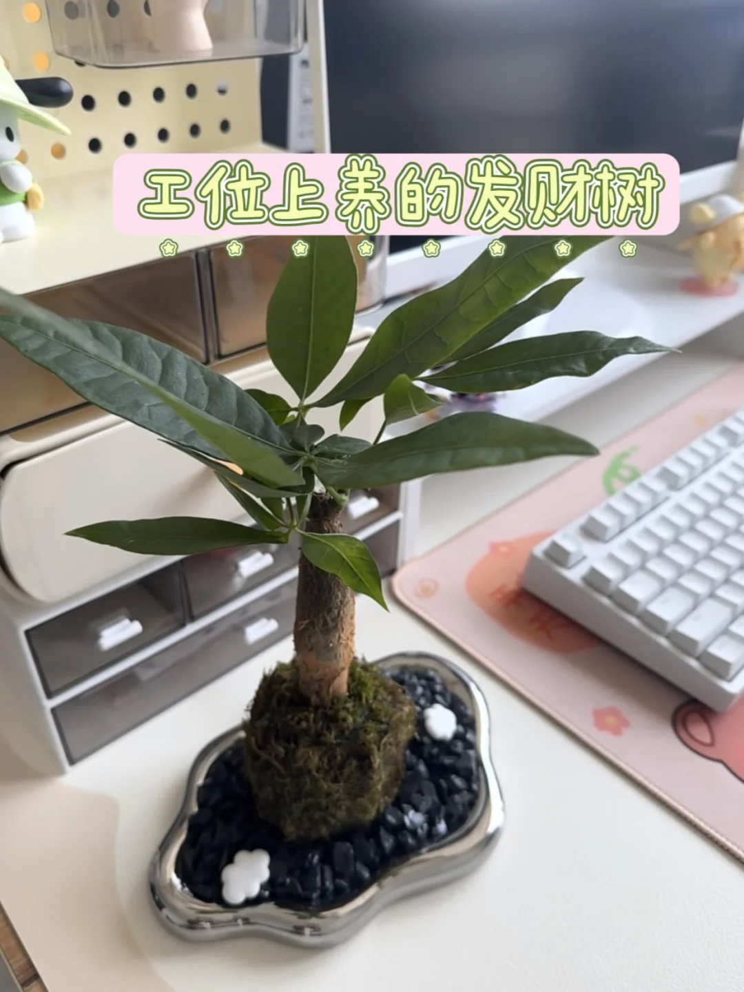 跳槽日记，前程无忧帮了我大忙