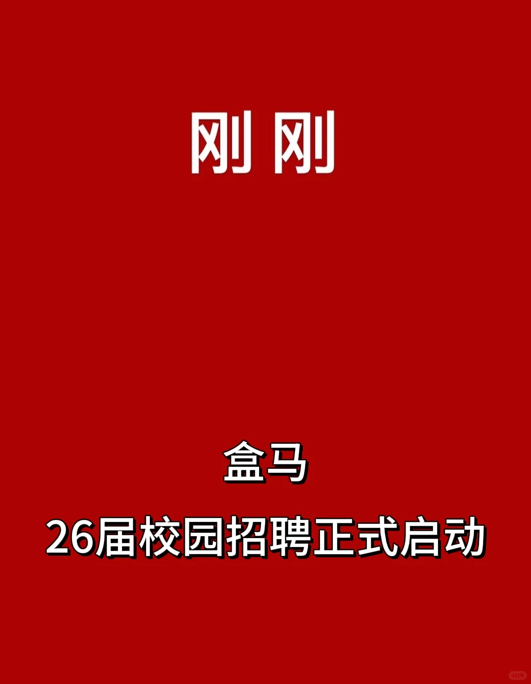 刚刚，盒马26届校园招聘正式启动