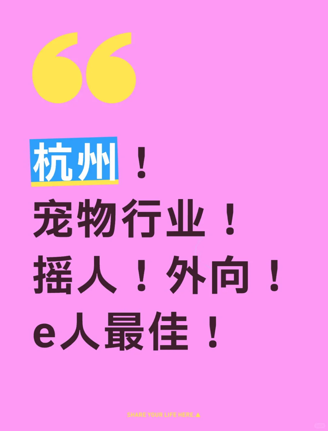 在杭州！宠物行业！摇人！外向！e人最佳！