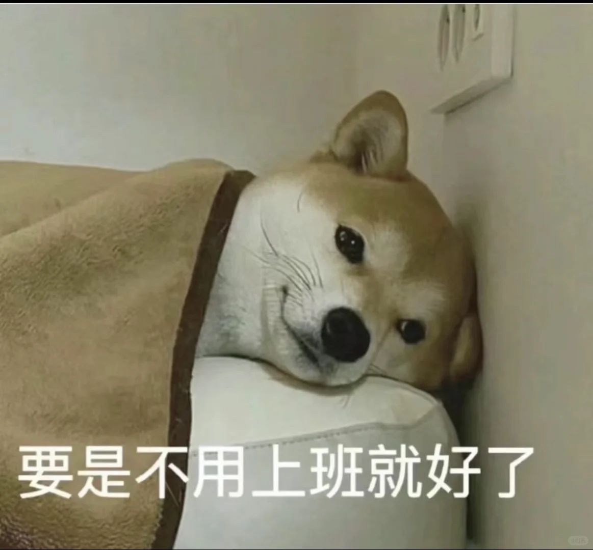 主播工作工资待遇