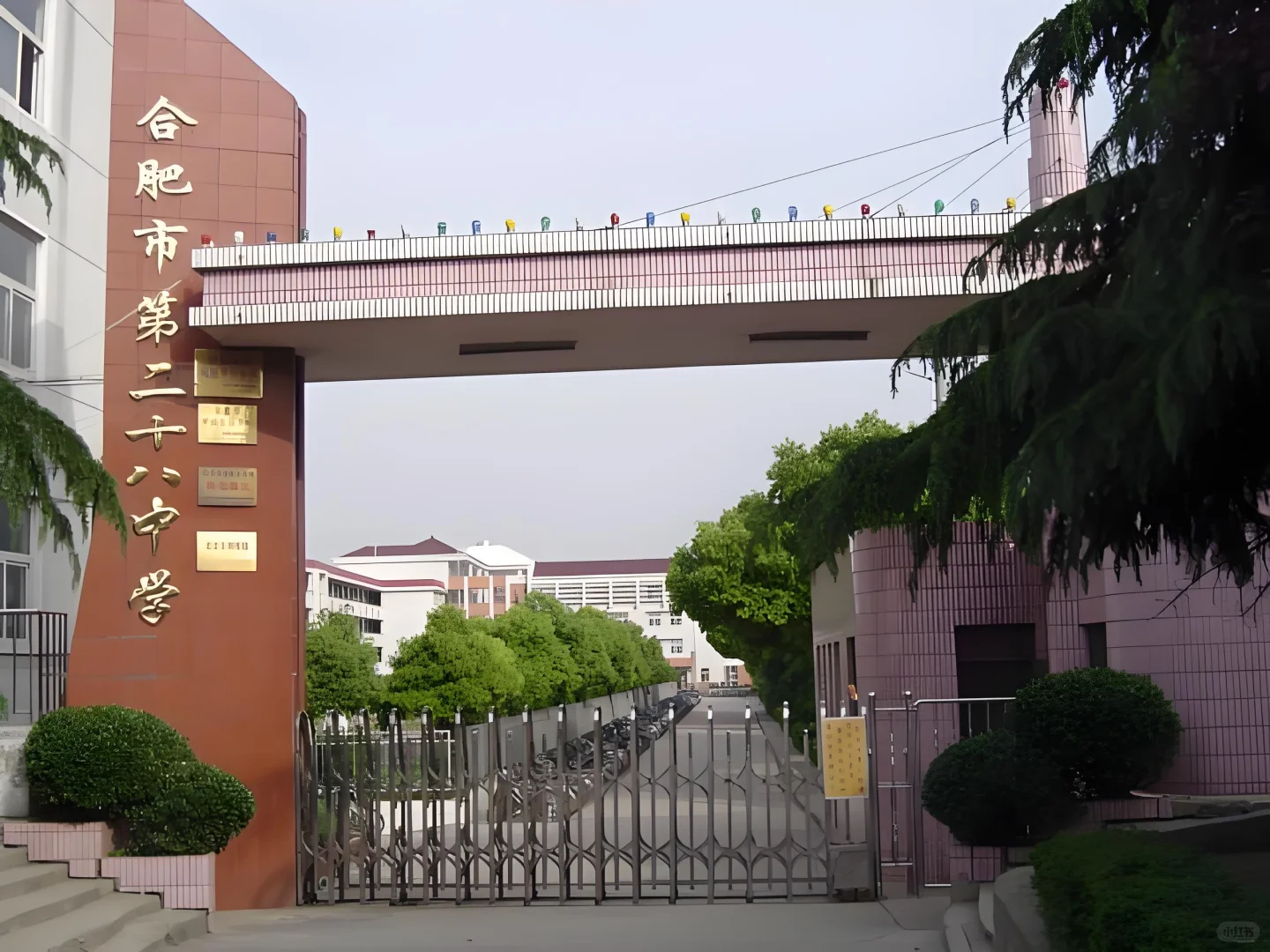 合肥一中教育集团招聘高中美术老师