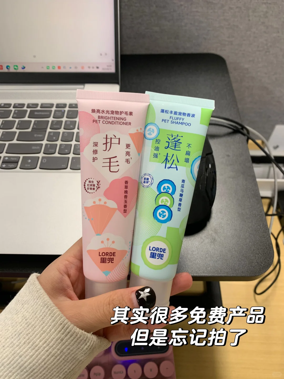 广州头部宠物公司开秋招啦！（可内推