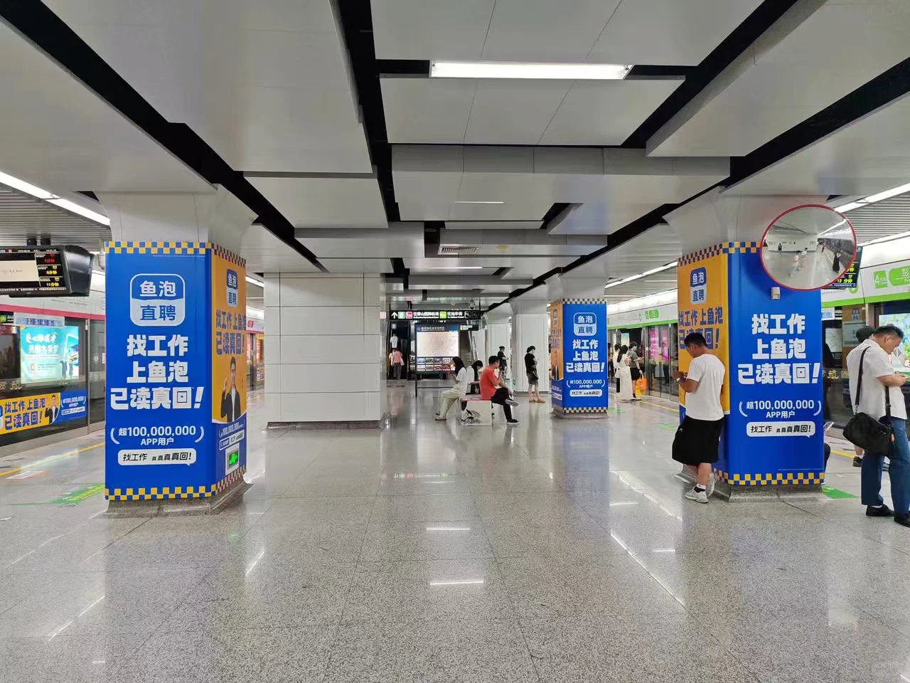 在鱼泡学会了“战略性跳槽”
