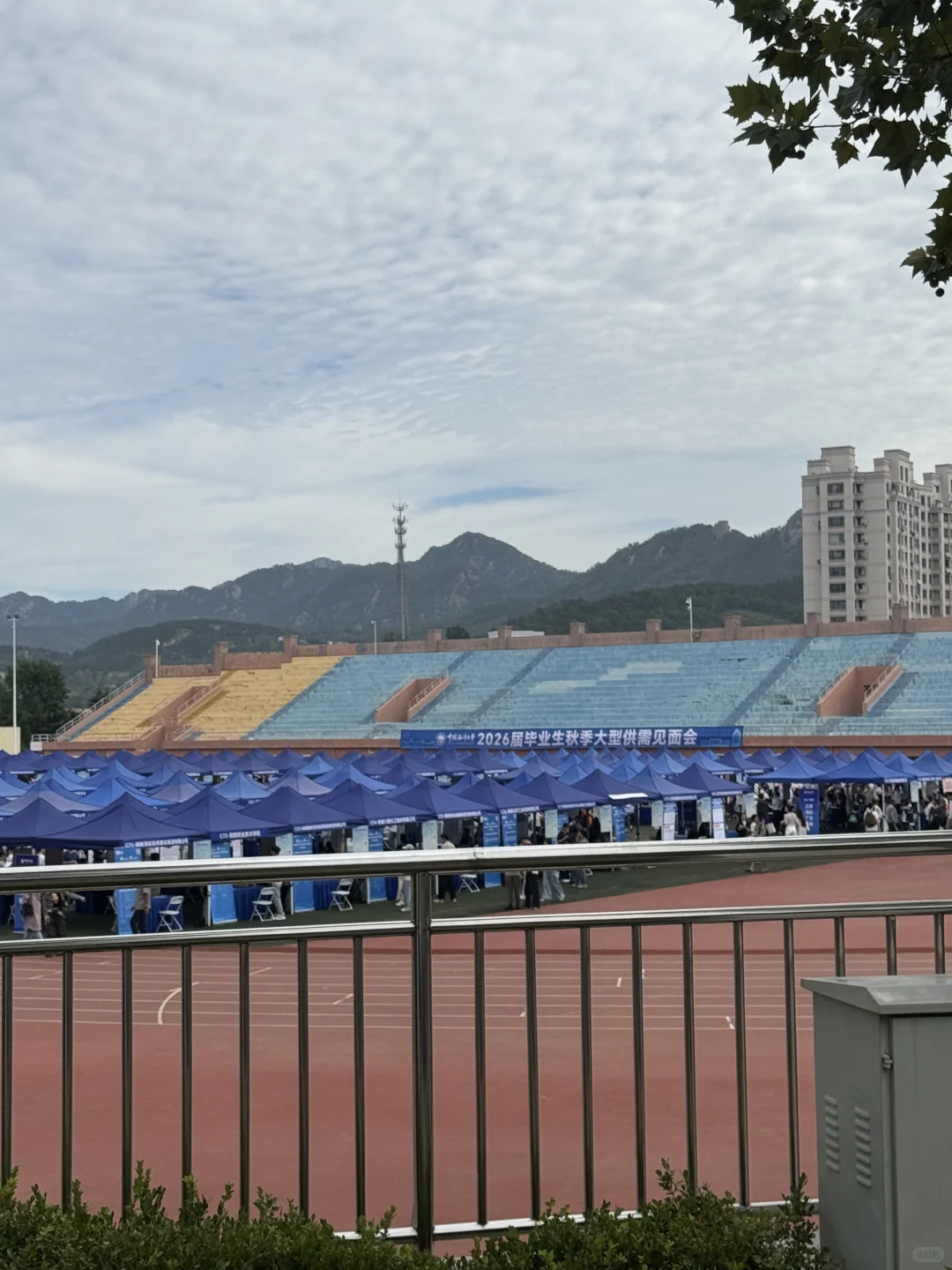 双选会才让我意识到天下英雄如过江之鲫
