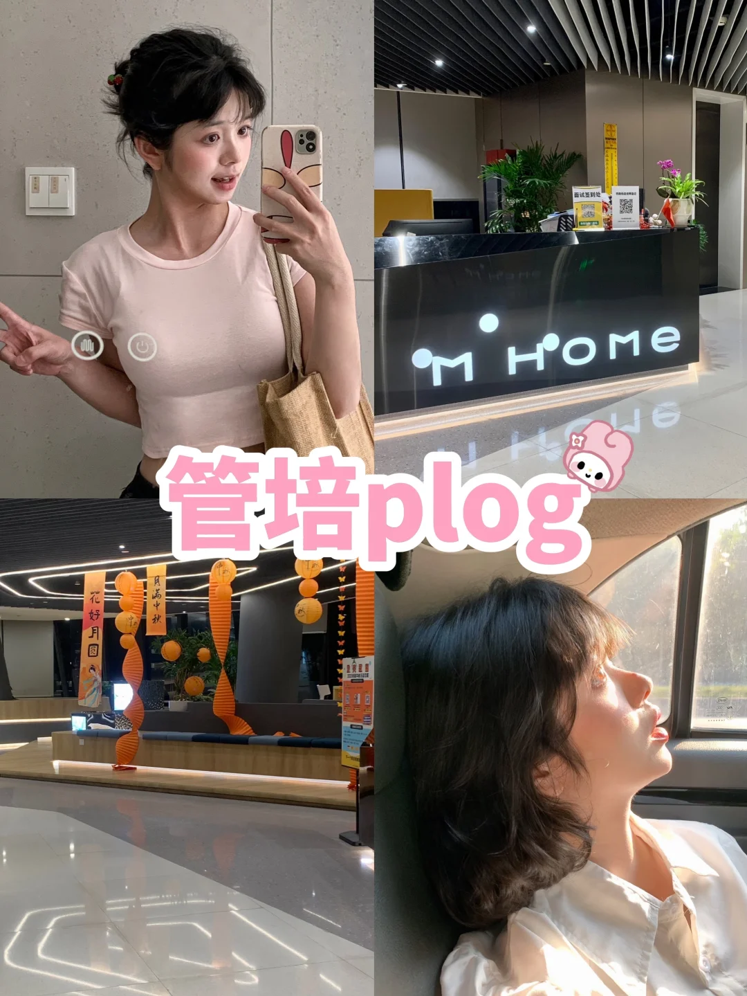 广州头部宠物公司开秋招啦！（可内推