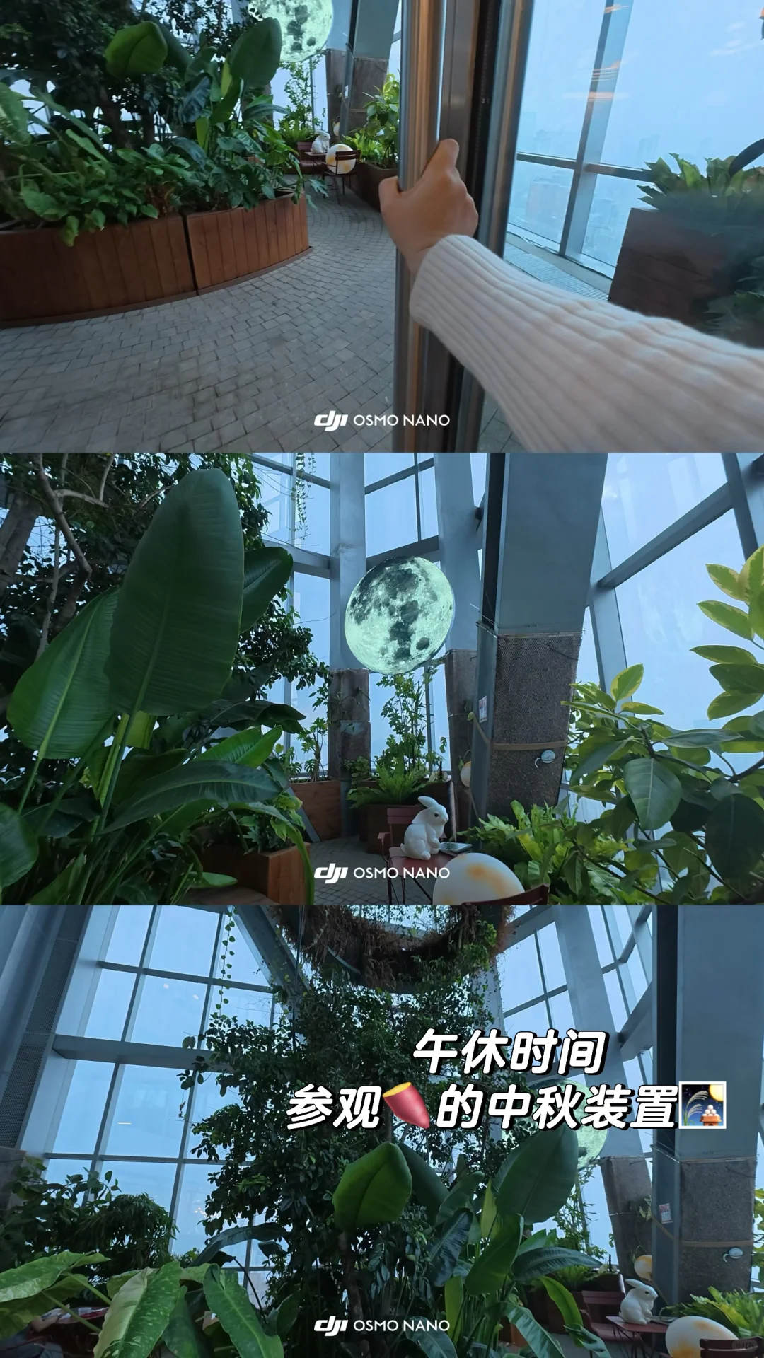 实习plog丨大疆nano记录互联网实习的一天