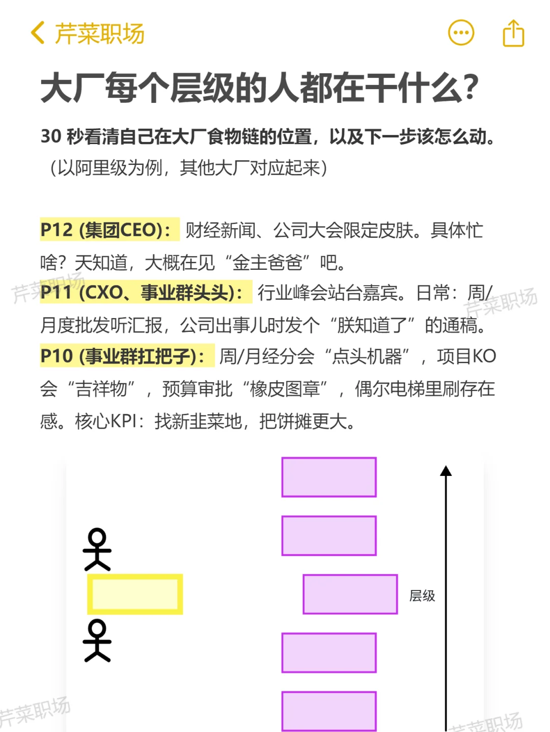 大厂的各个层级都在干什么？