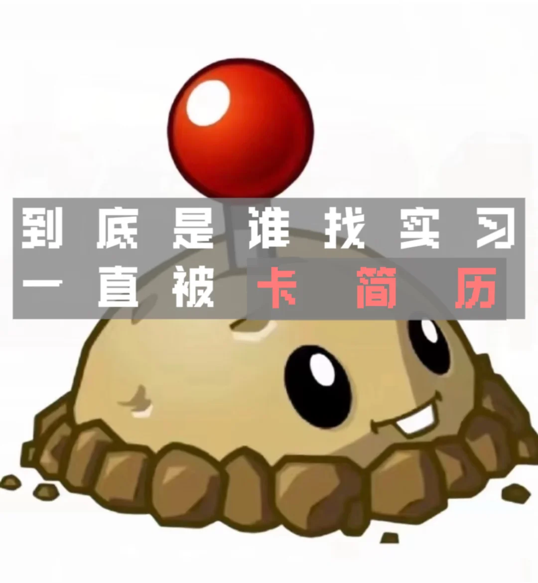 为什么简历关就把我筛出去了（文科生版）
