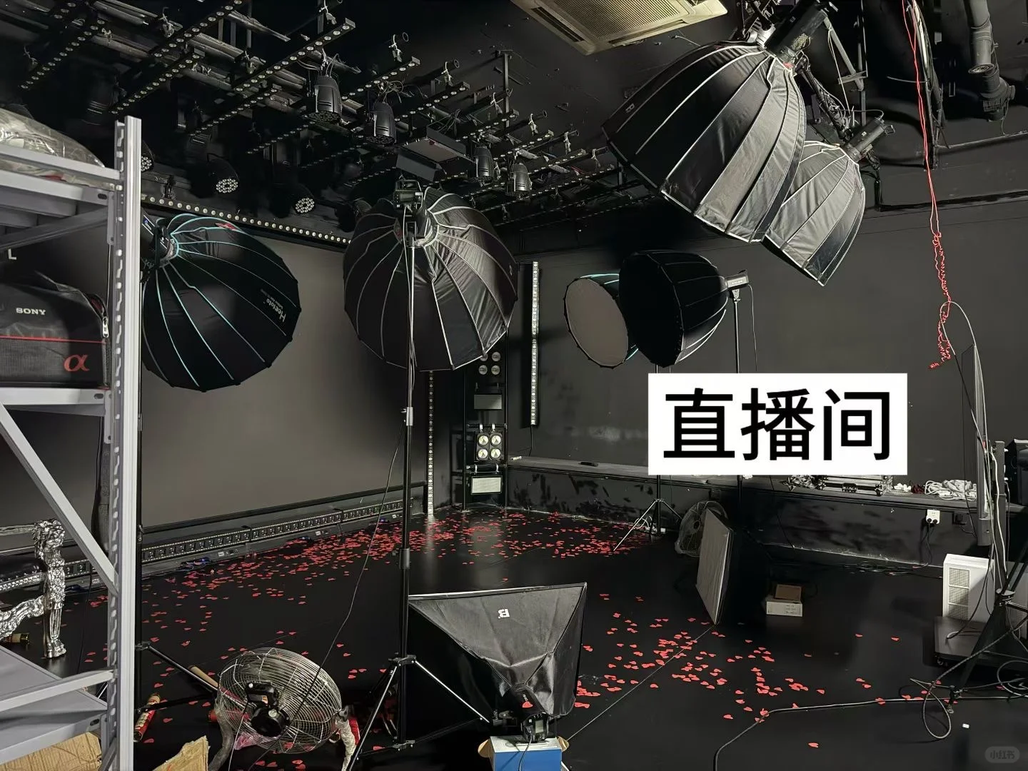 🔊 海口传媒公司急聘人才！！！！！