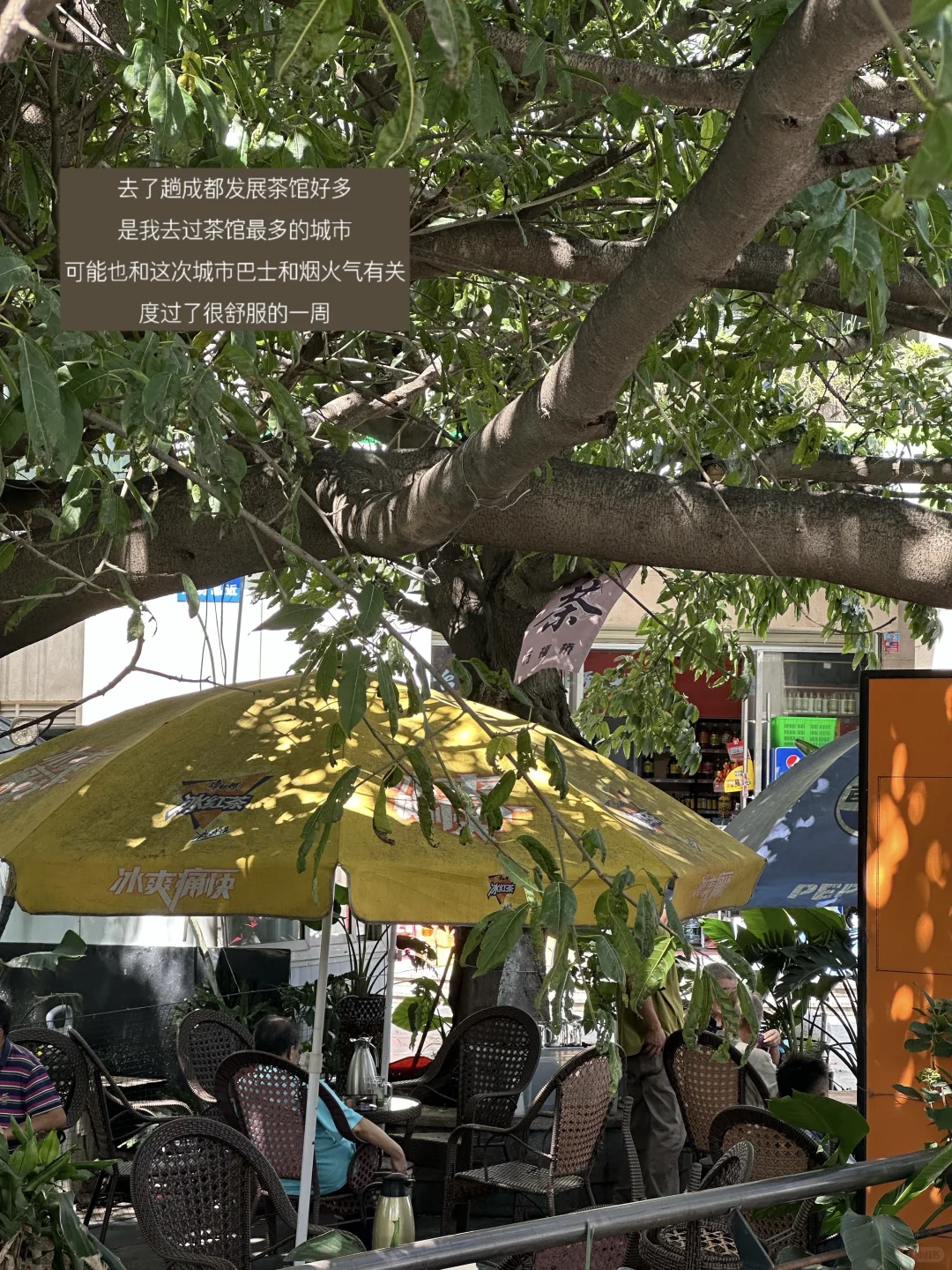 职场3年，建议文科生尽早培养自己的生存技能