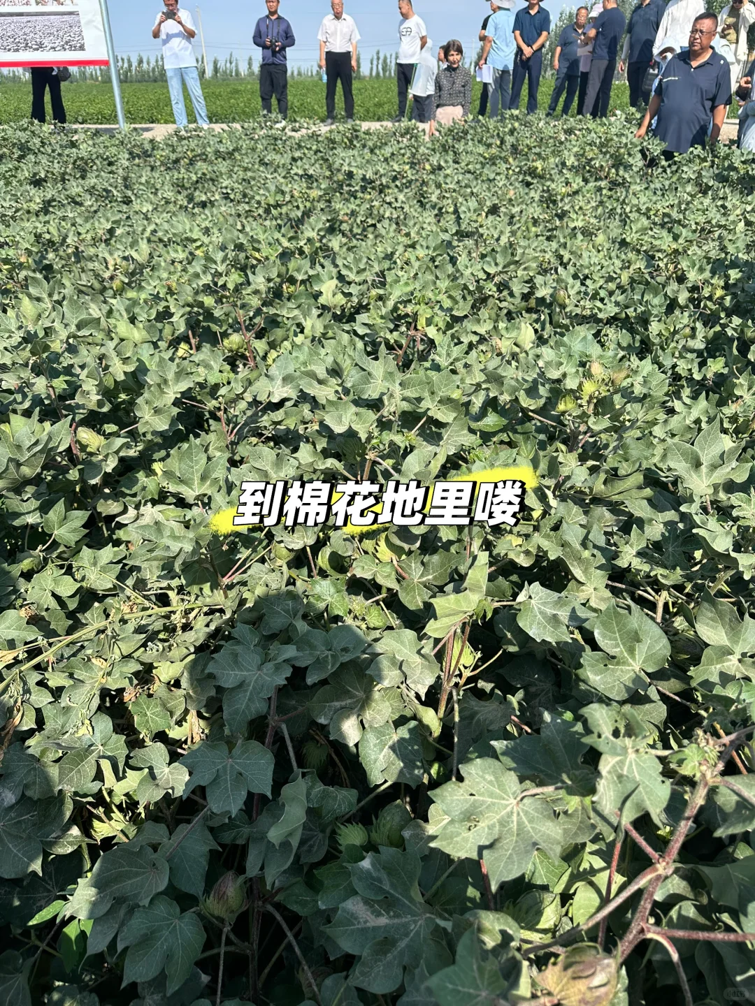 应届农学硕士进入体制内的一天