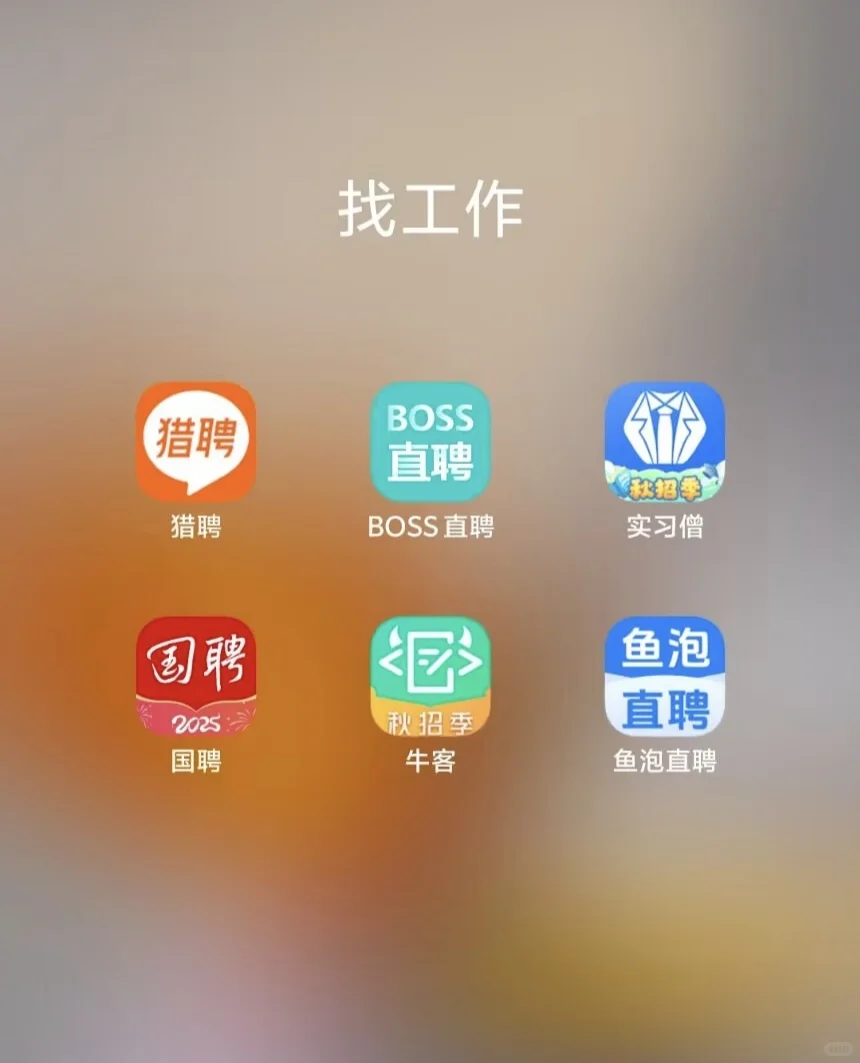 各大招聘软件使用总结