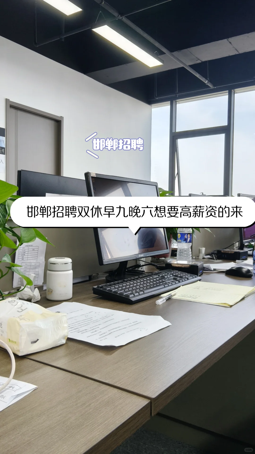 想要高薪资的丝