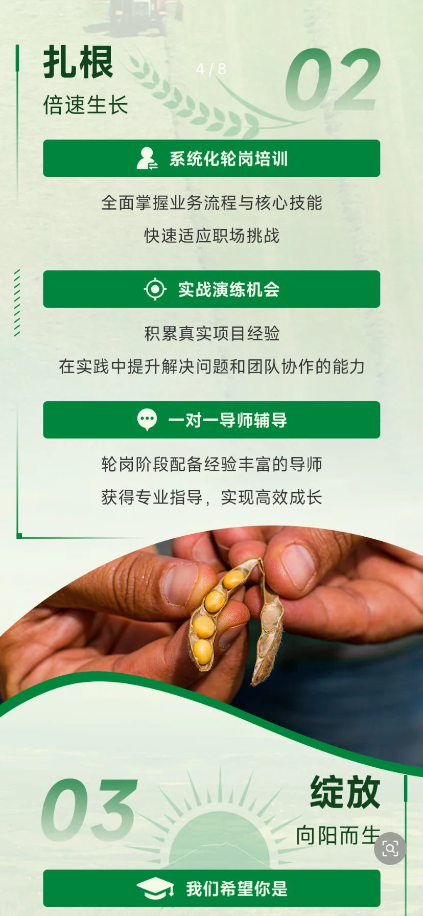 农学就业 | 外企 | 嘉吉农业与贸易招聘