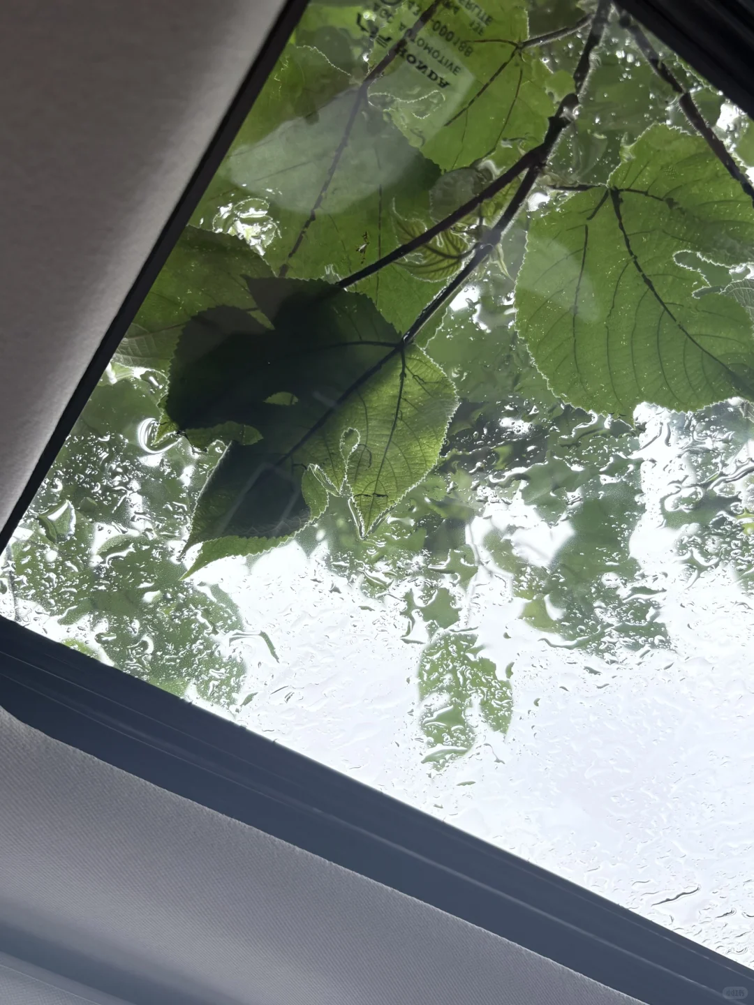 笔试26名，招10个