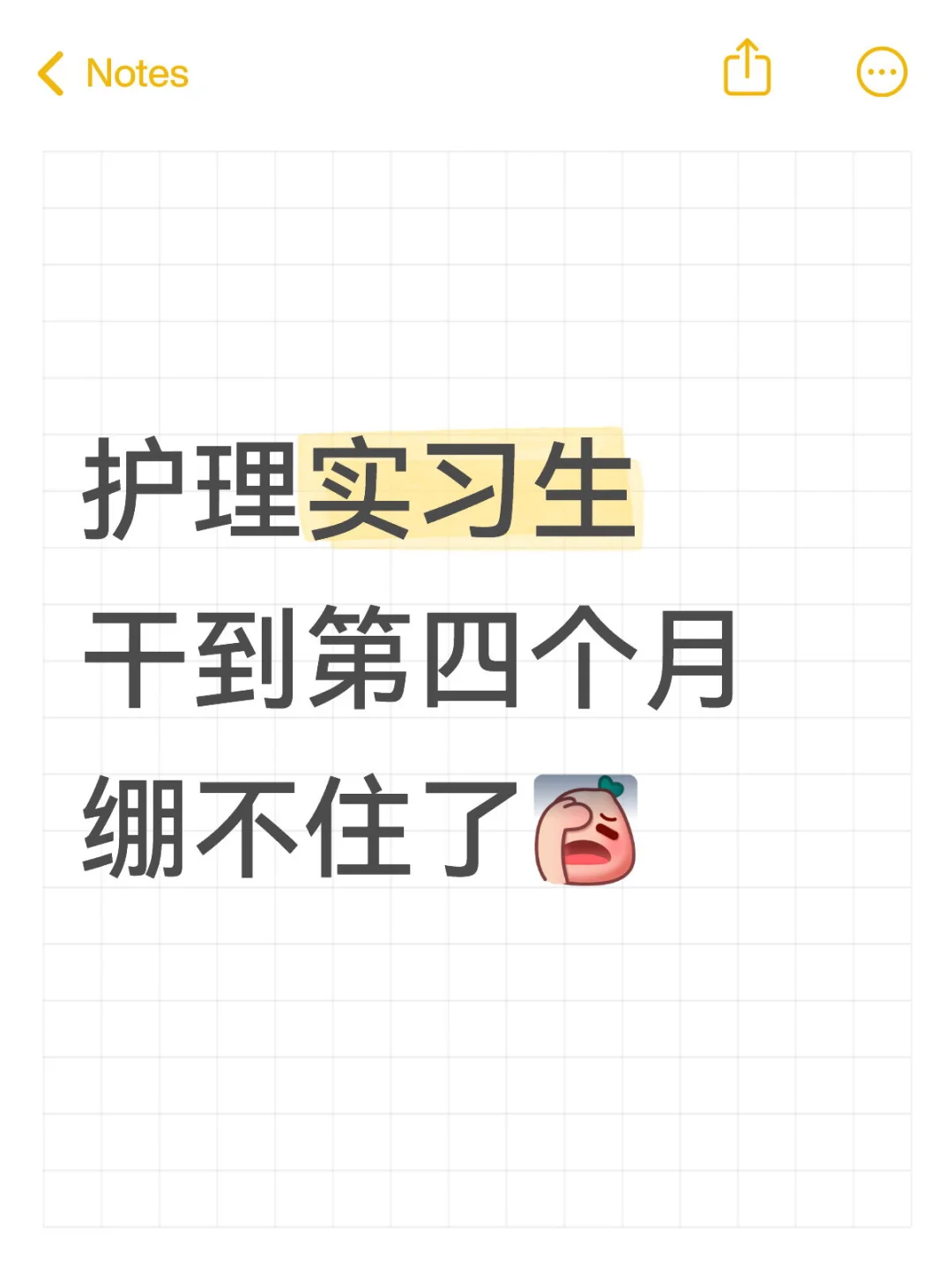 实习生 护理