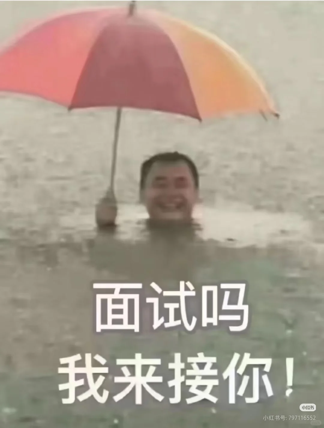 急招高薪团播