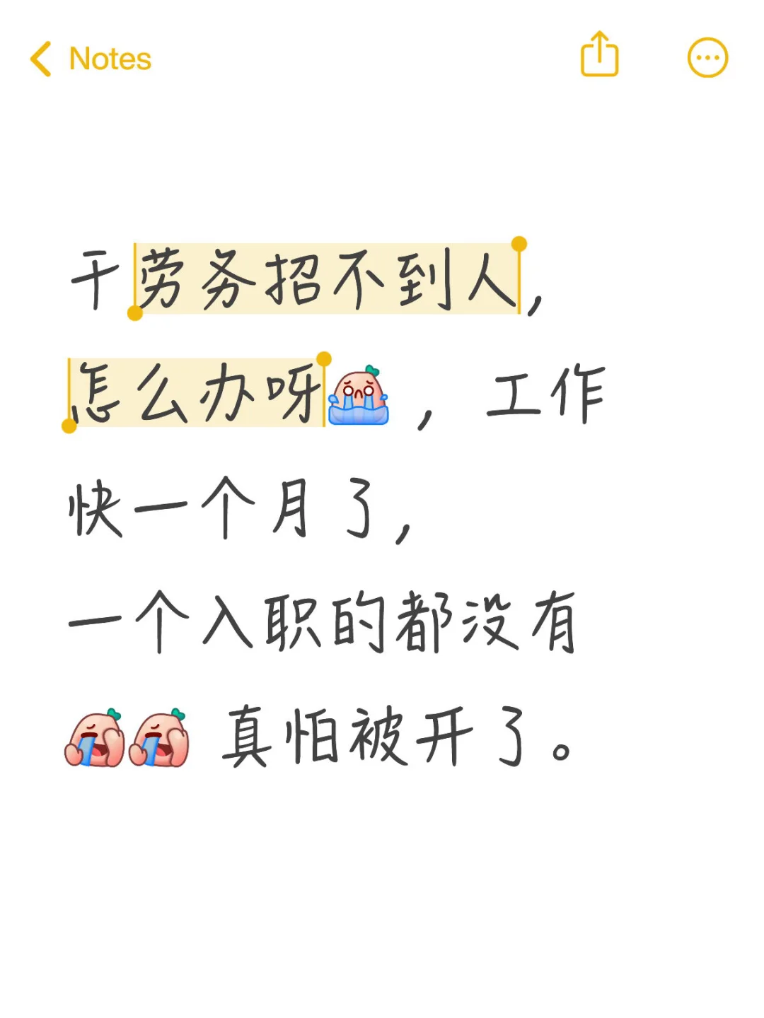 刚毕业大学生勇闯劳务