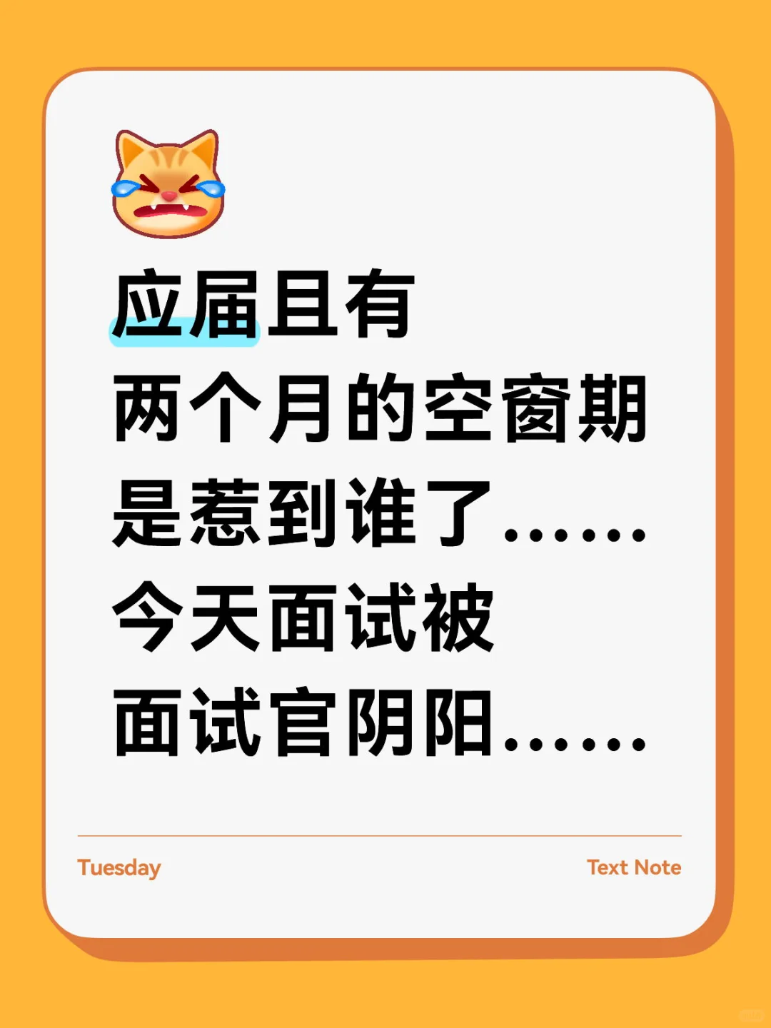 应届且有两个月的空窗期是惹到谁了……