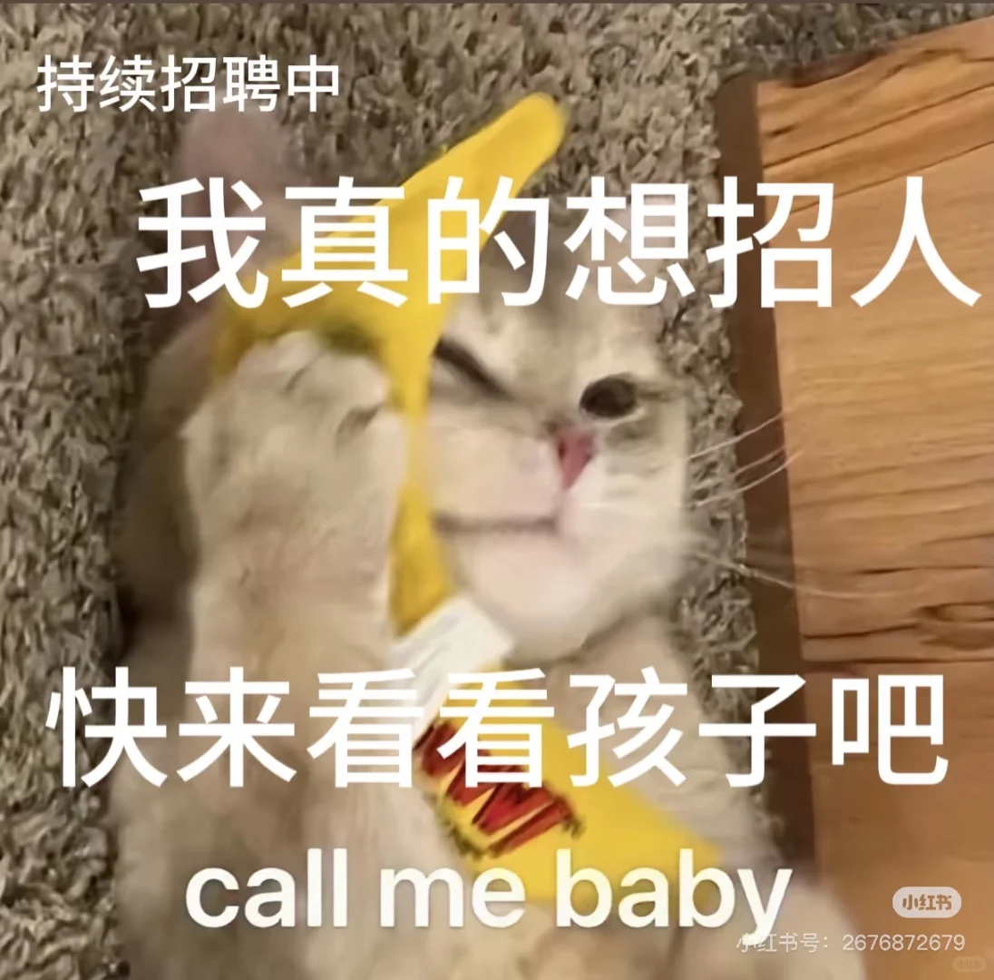 凯里招聘！！！