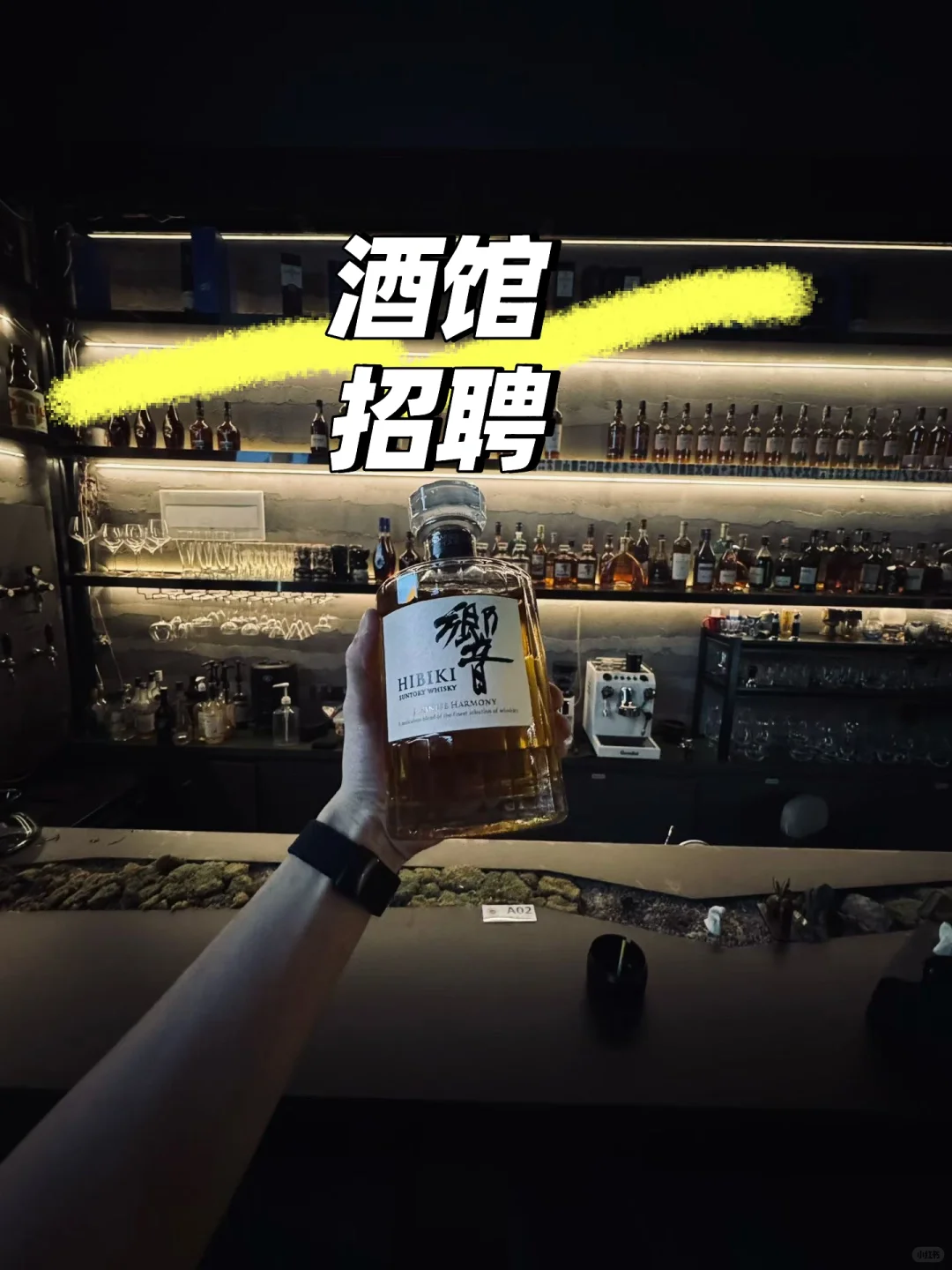 酒馆招聘