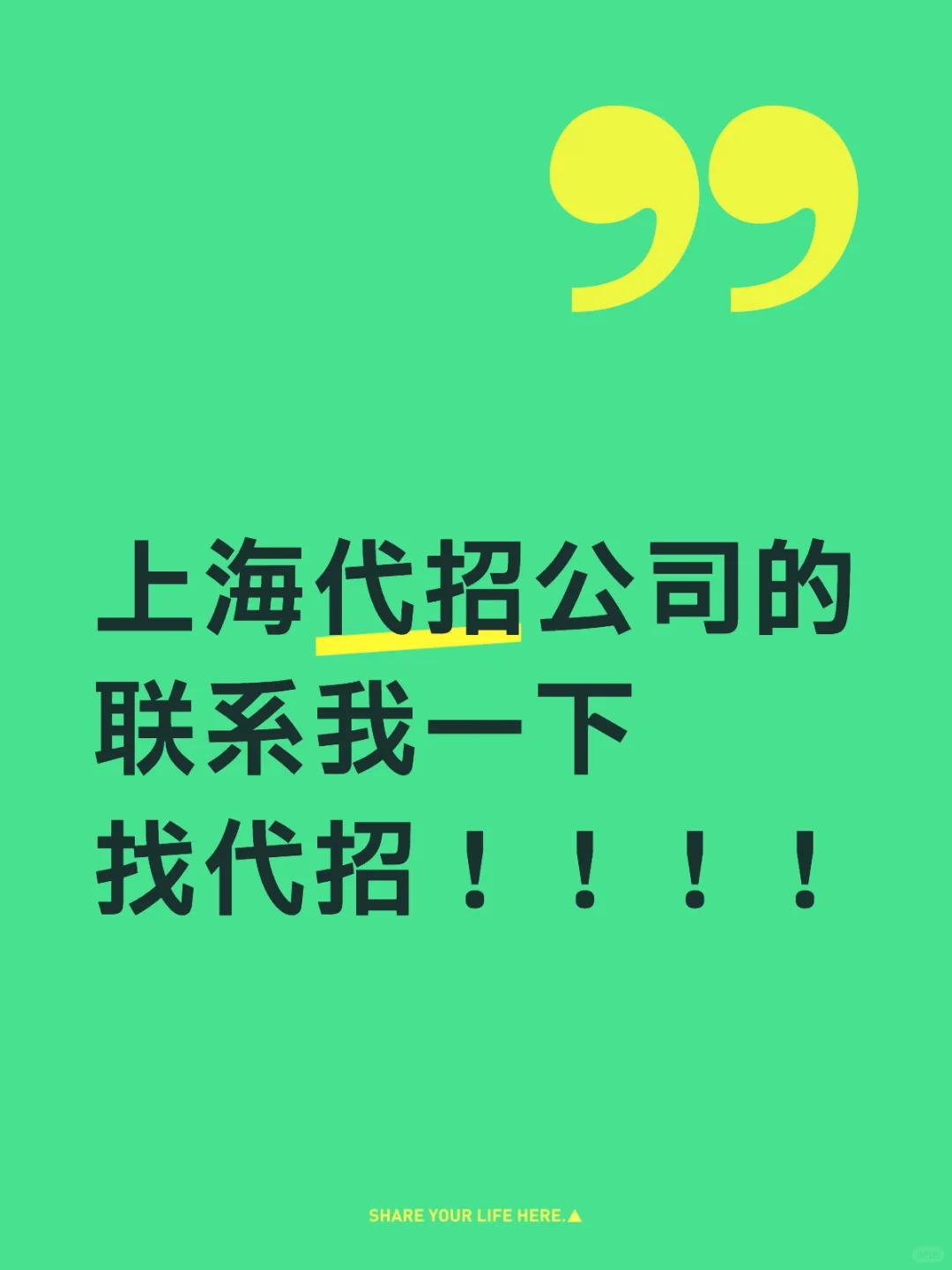 找代招！！！