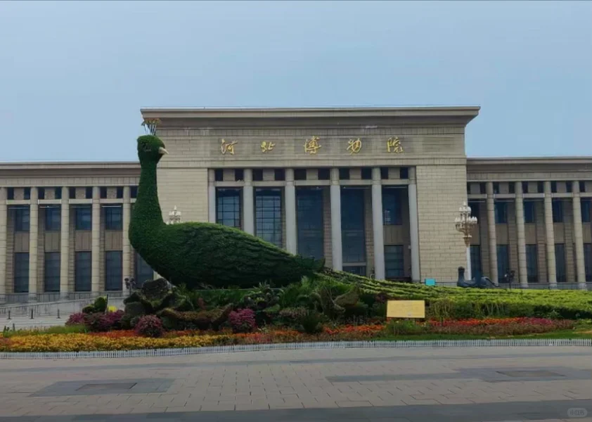石家庄博物馆长期招聘日结