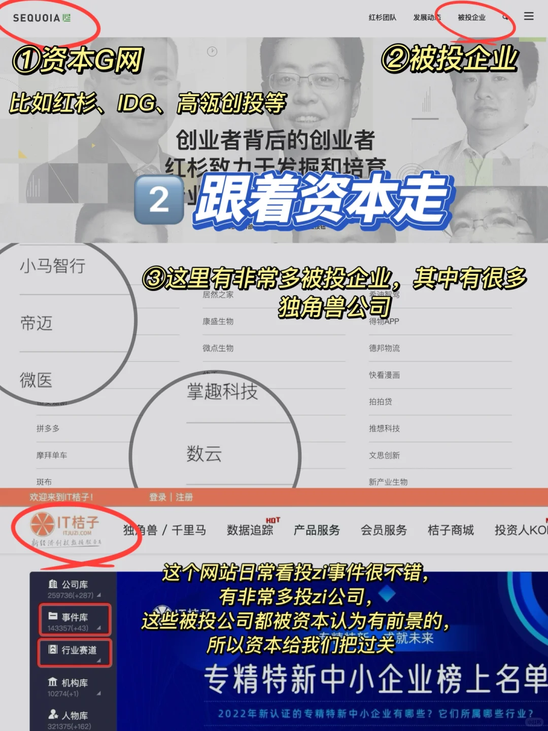不必死磕大厂，手把手带你找小众神仙公司