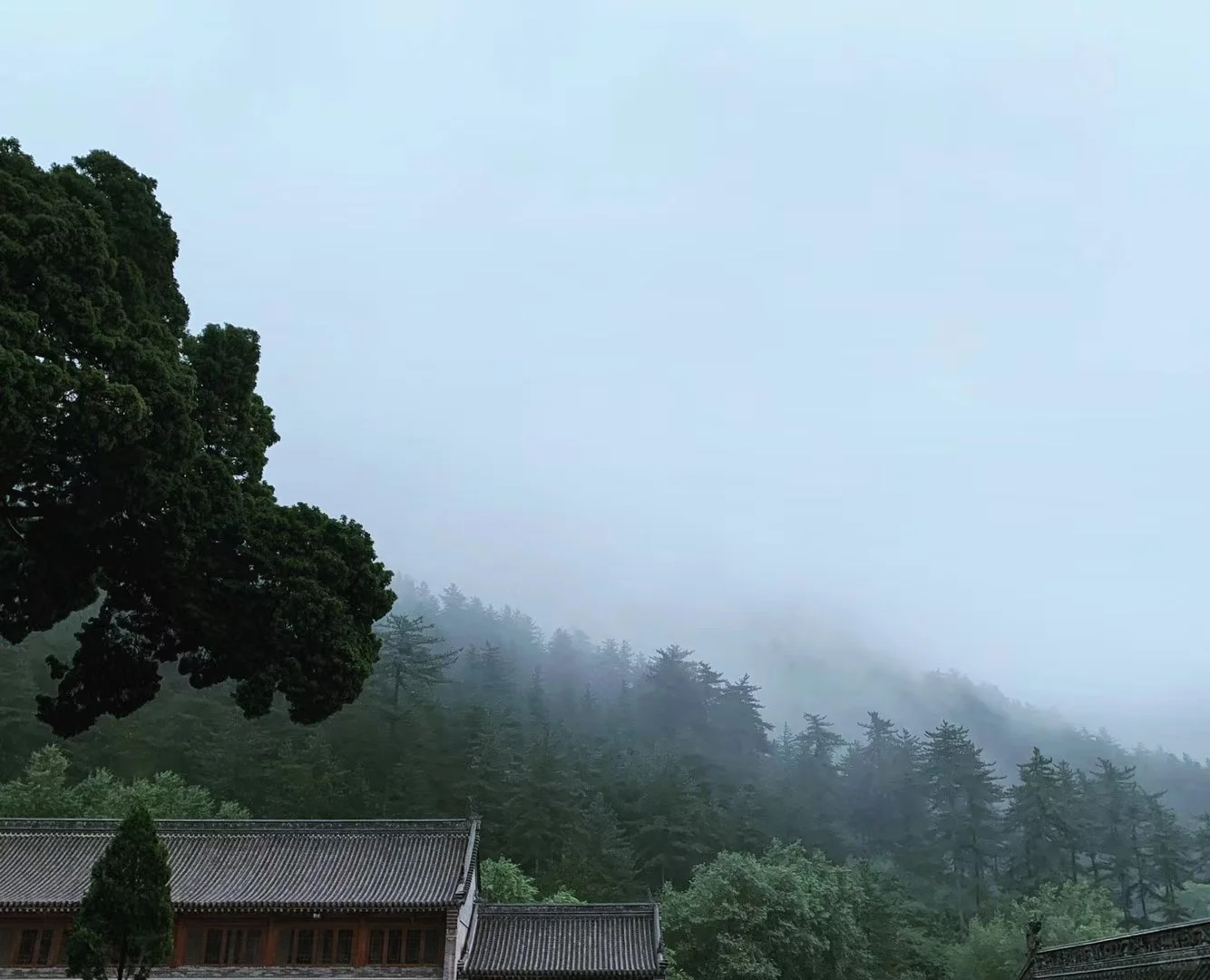 招聘长期住寺人员…非诚勿扰🙏🏻