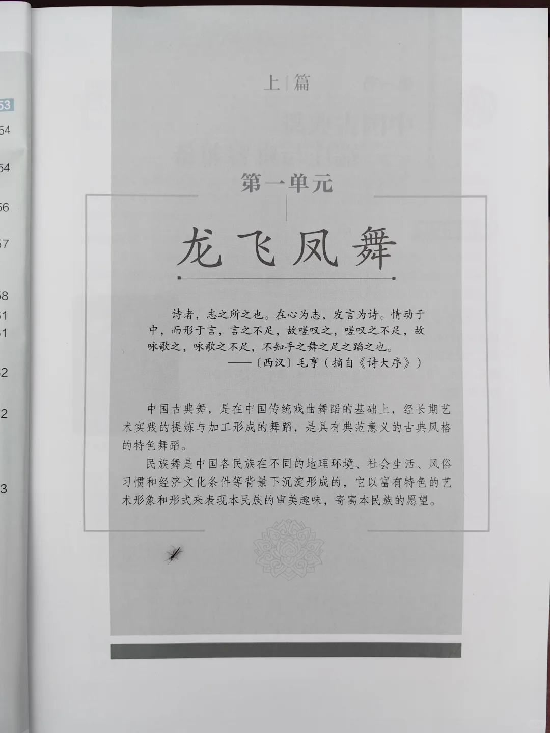 📣上海市舞蹈教师招聘笔面试攻略 附公告