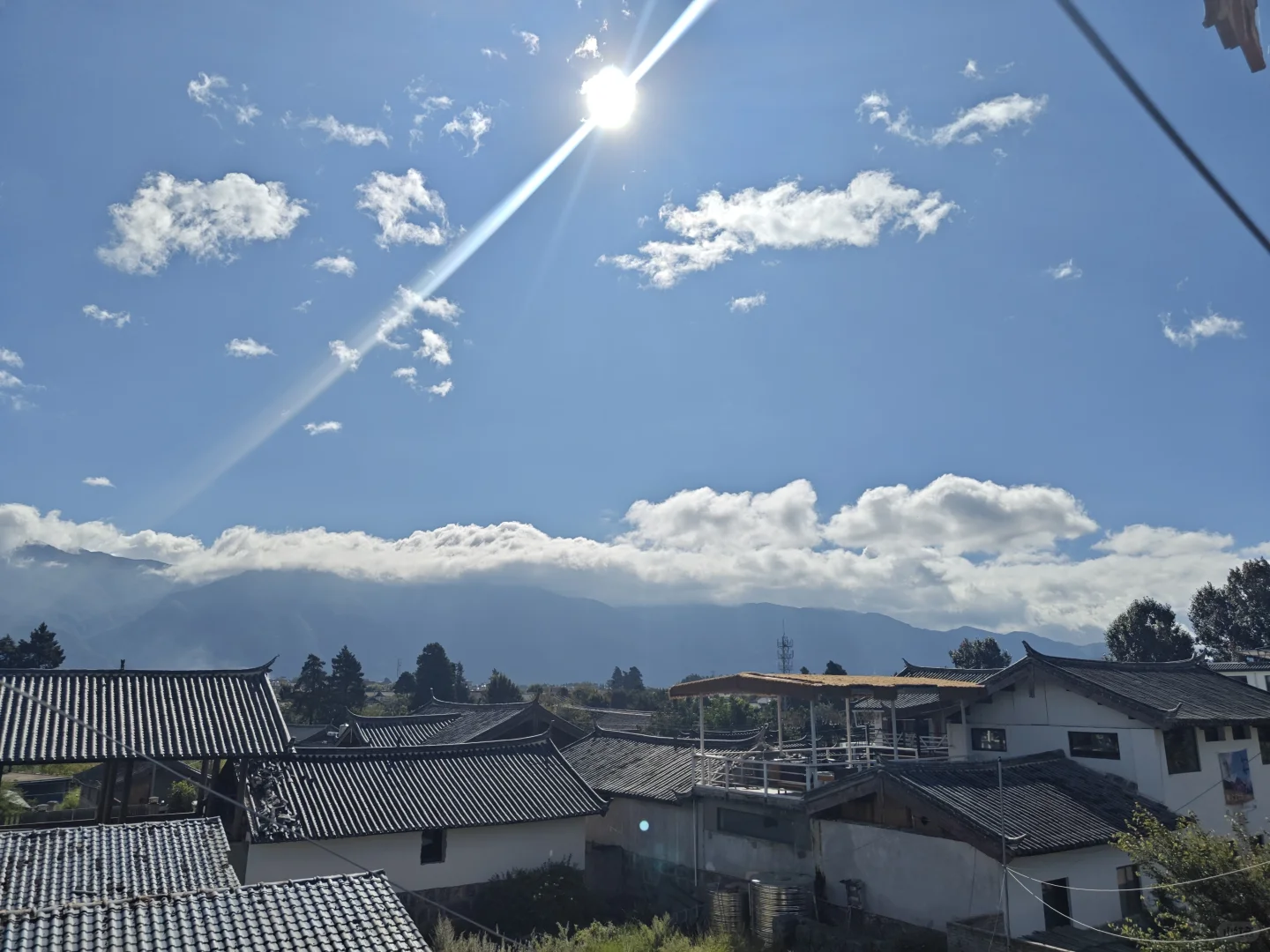 员工餐厨师、招聘