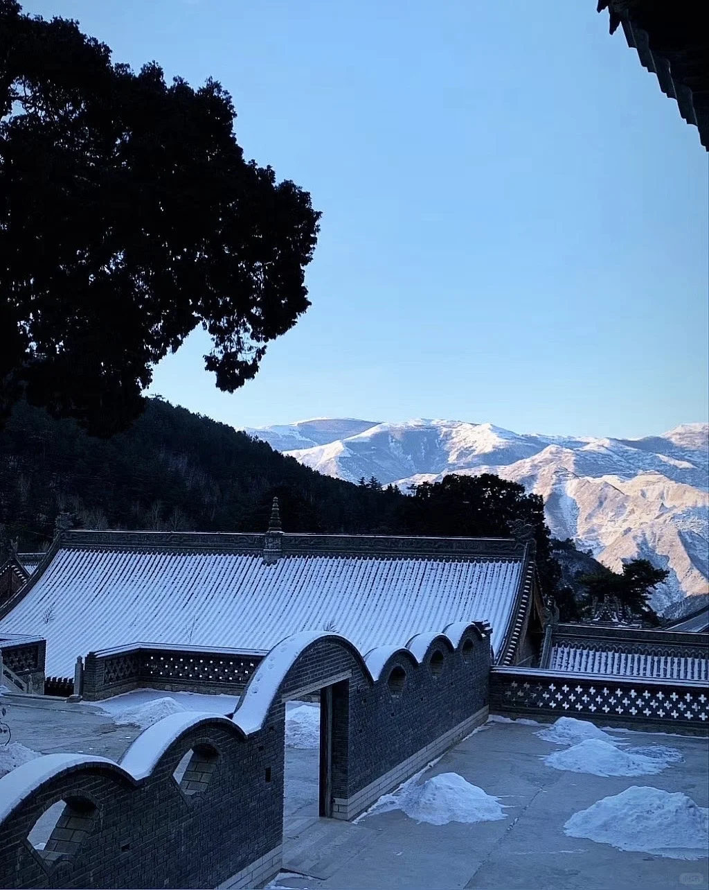 招聘长期住寺人员…非诚勿扰🙏🏻