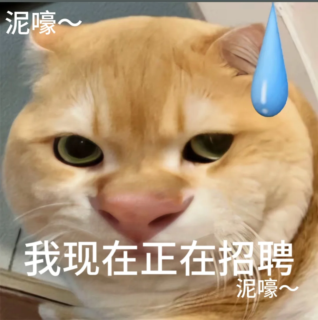 招聘表情包。有需要自行拿取。小猫表情包