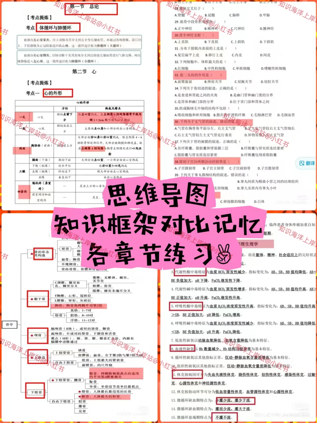 事业编E类抓紧时间去背！赢麻了