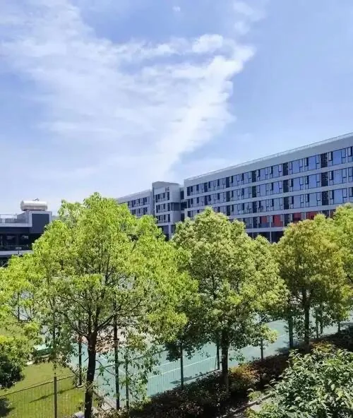 新厂急招人才，机会不容错过
