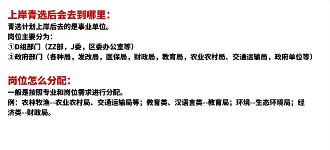 青选计划上岸后都去哪工作