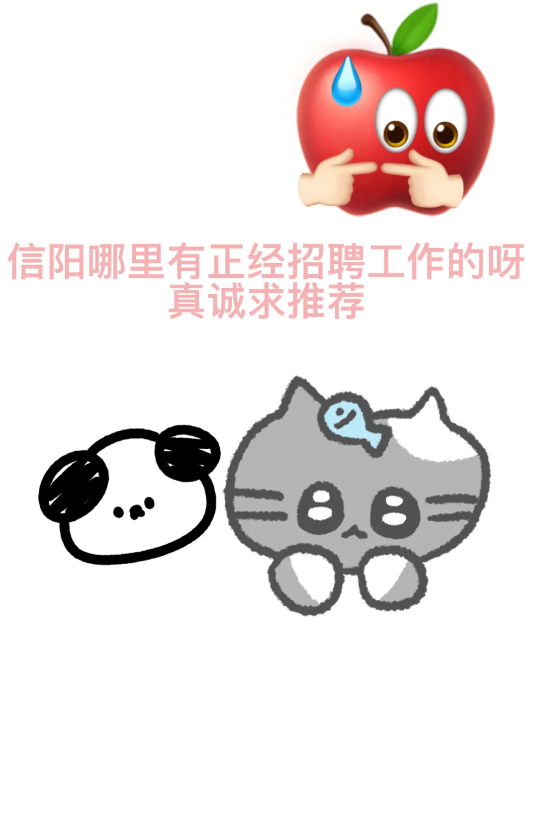 信阳哪里在招聘呀