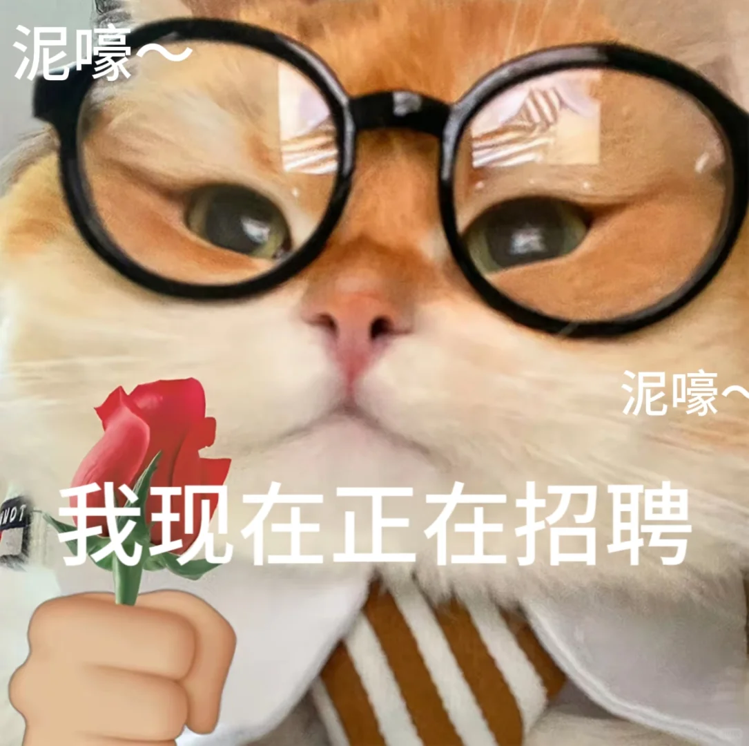 招聘表情包。有需要自行拿取。小猫表情包
