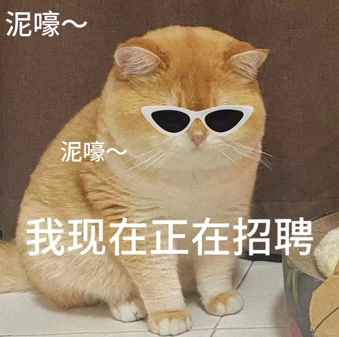 招聘表情包。有需要自行拿取。小猫表情包