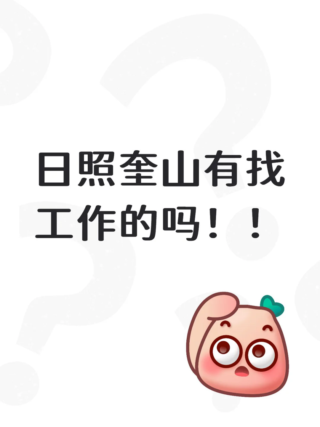 日照急聘会计｜