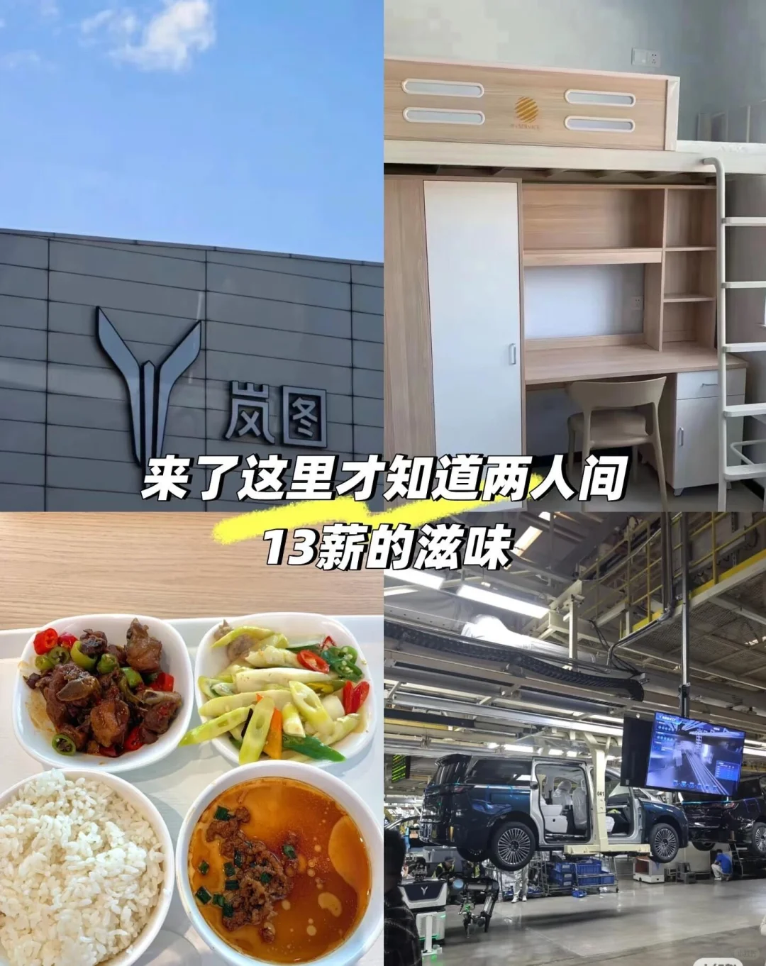 避雷！ 岚图！