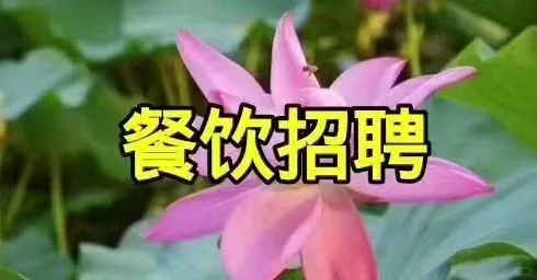 🍀🍀🍀招聘：孝感体育路烧烤聘案子或