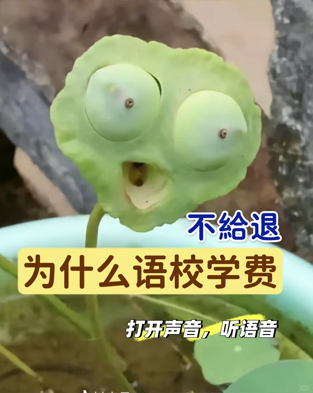 论申请正规学校的重要性